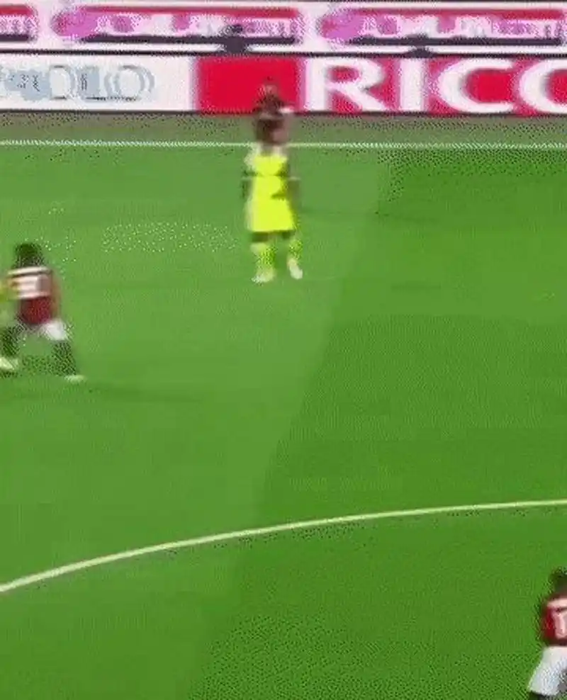 排和队员们 排和队员们